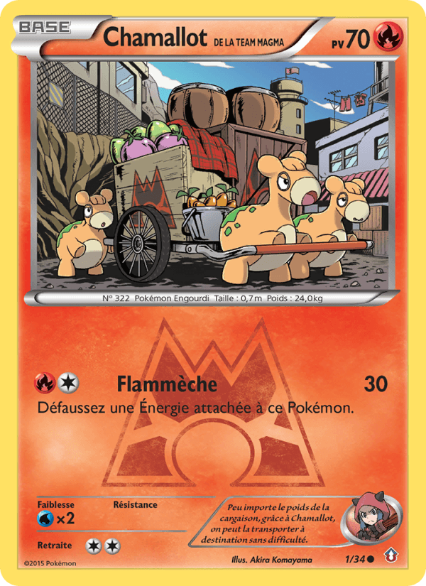 Chamallot de la Team Magma