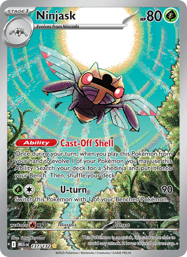 Ninjask