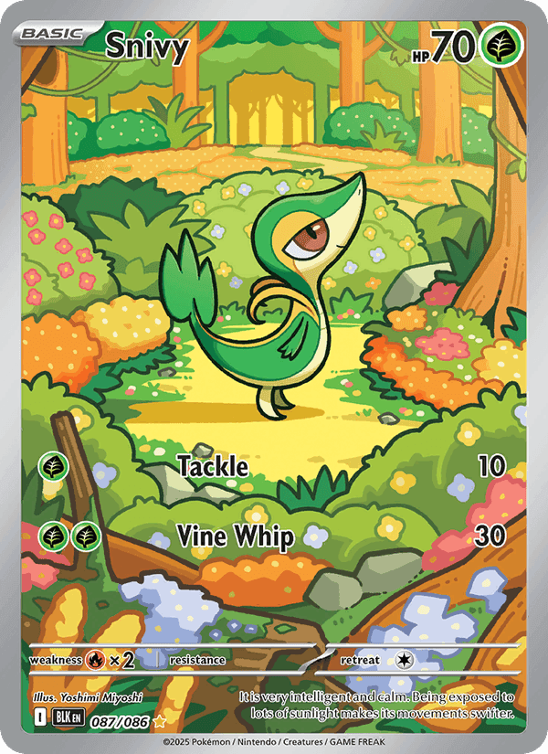 Snivy