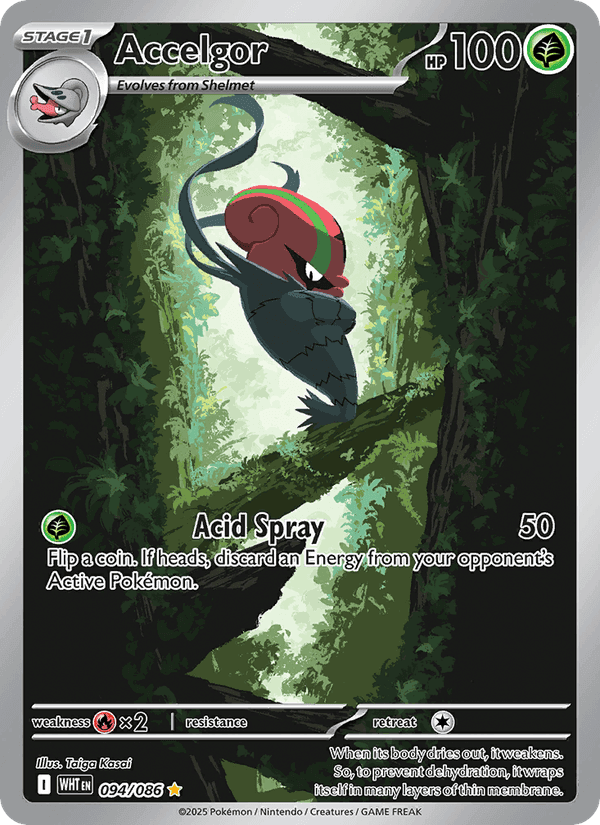 Accelgor