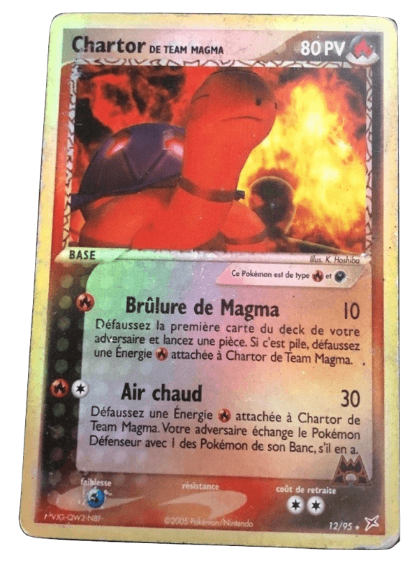 Chartor de Team Magma