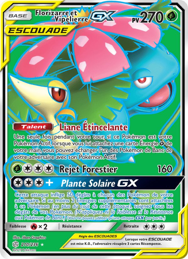 Florizarre et Vipélierre GX